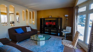 Smart TV, fireplace, books