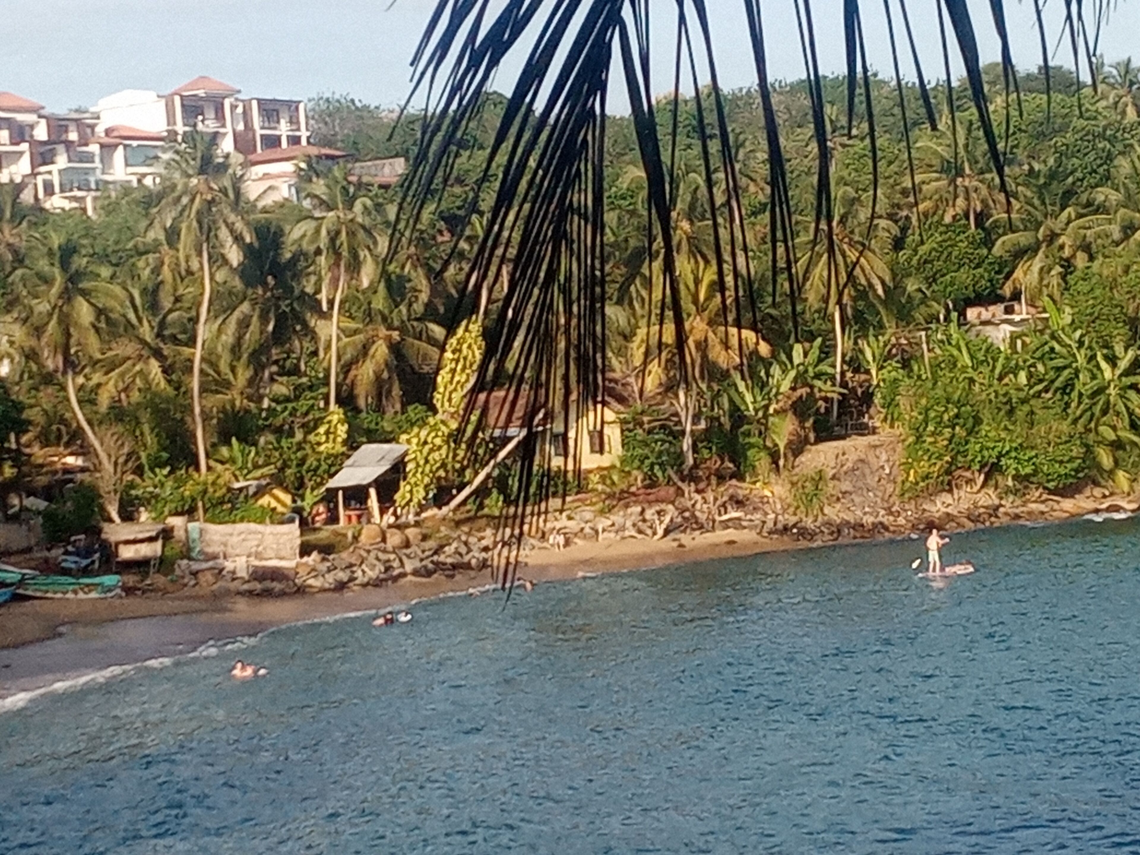 A coastal scene with a beach, palm trees, and buildings in the background.