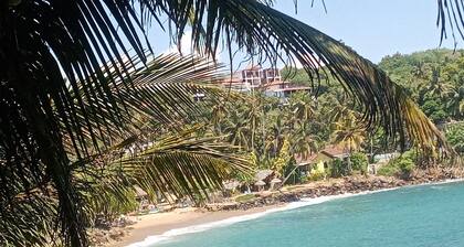 Surf Paradise Hotel