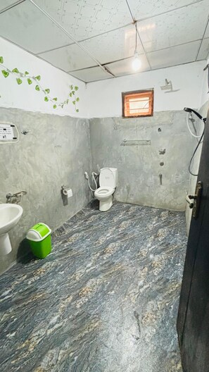 Familiekamer | Badkamer | Een bidet, handdoeken, zeep, toiletpapier