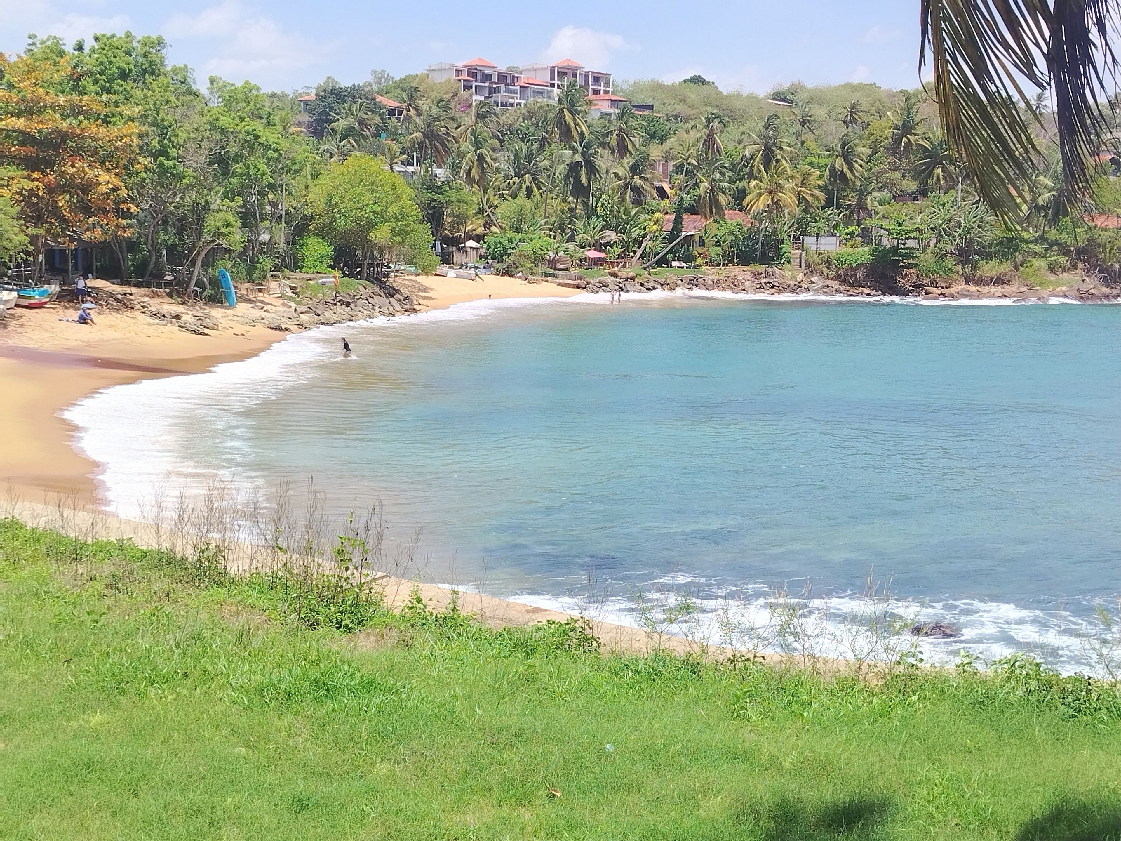 A coastal landscape with a sandy beach, clear blue water, and dense greenery.