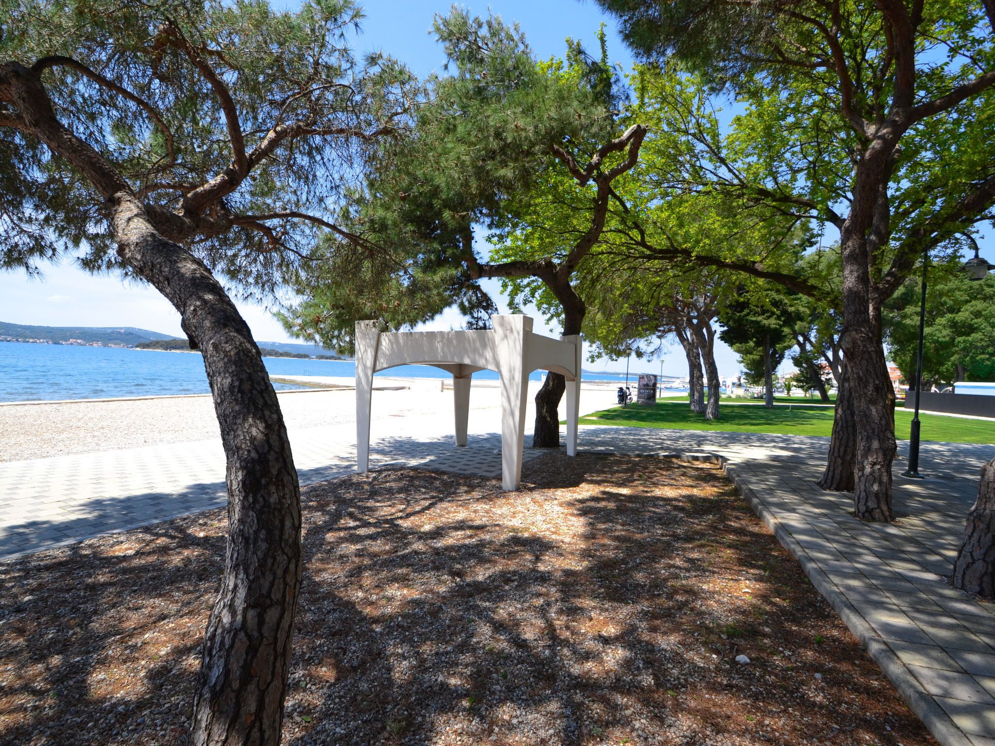 A park with a white bench, trees, and a beach in the background.