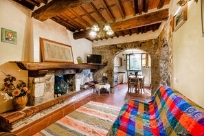 TV, fireplace, books, stereo - Casa Giovanni - Relax Among Greenery, Camaiore, Italy (Camaiore)