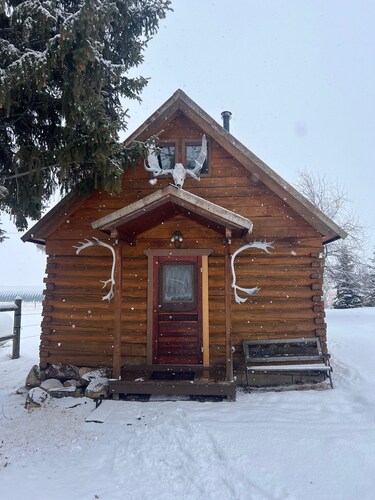 Uncle Buddy's  Cabin