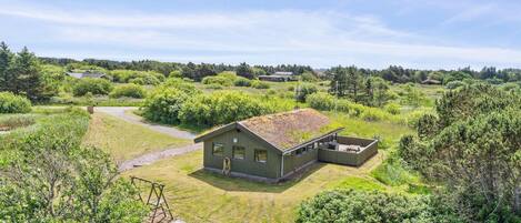 A single-story house with a sloped roof, surrounded by a grassy field and dense shrubbery.