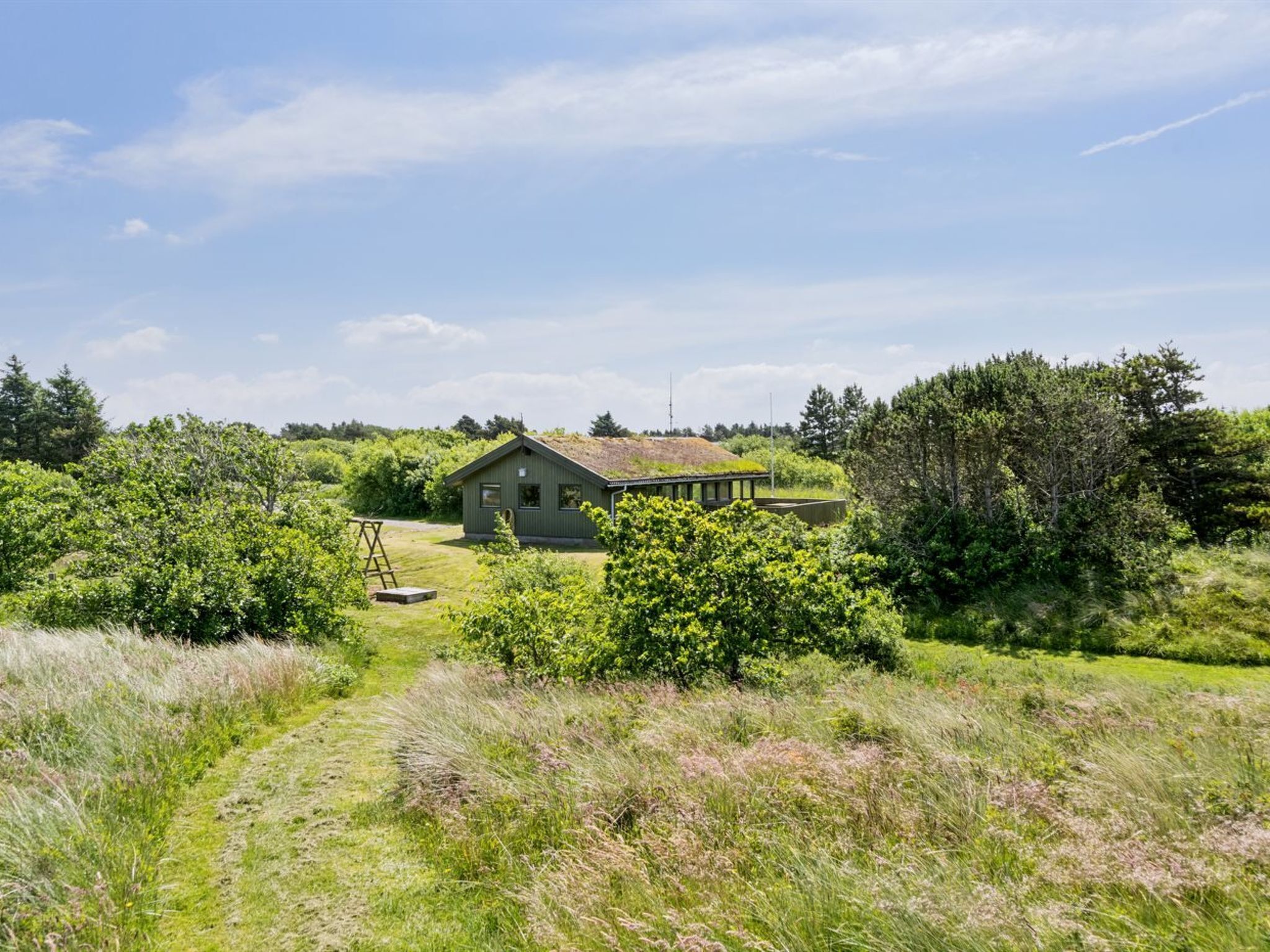Uma casa verde com telhado inclinado, rodeada por vegetação densa e um céu claro.
