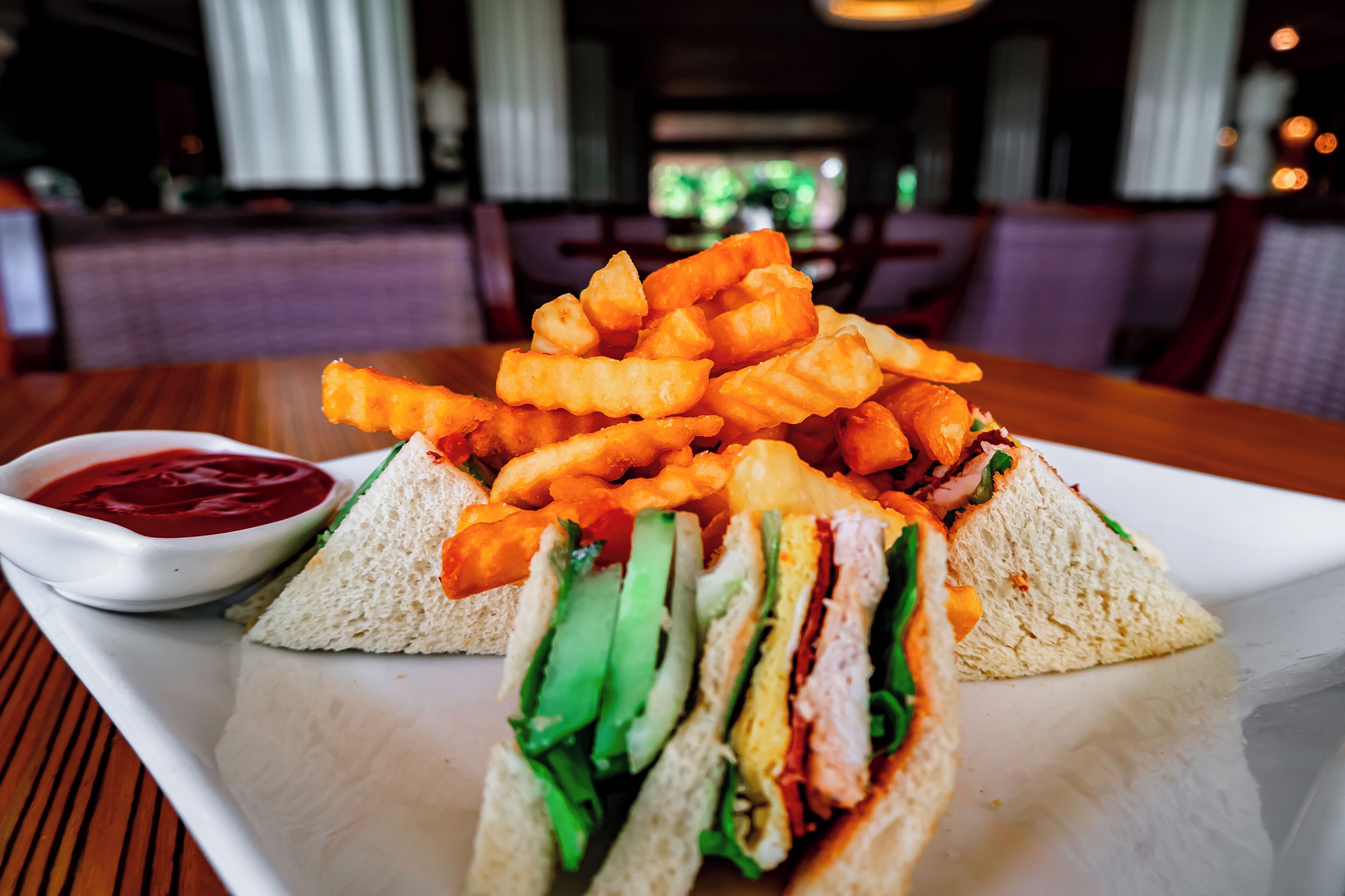 A sandwich with fries and ketchup on a white plate.