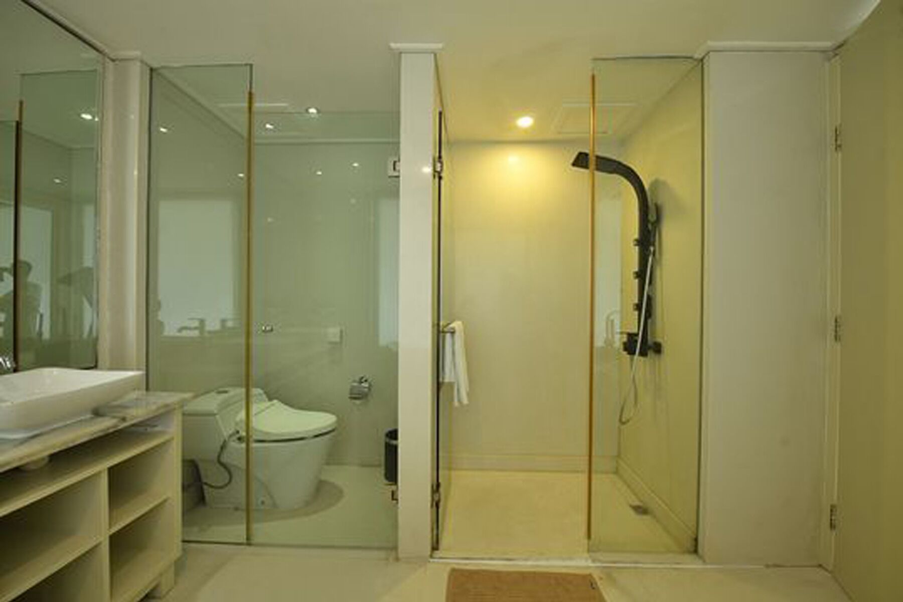 Een moderne badkamer met een douche in glazen cabine, een toilet en een wastafel met opbergplanken.