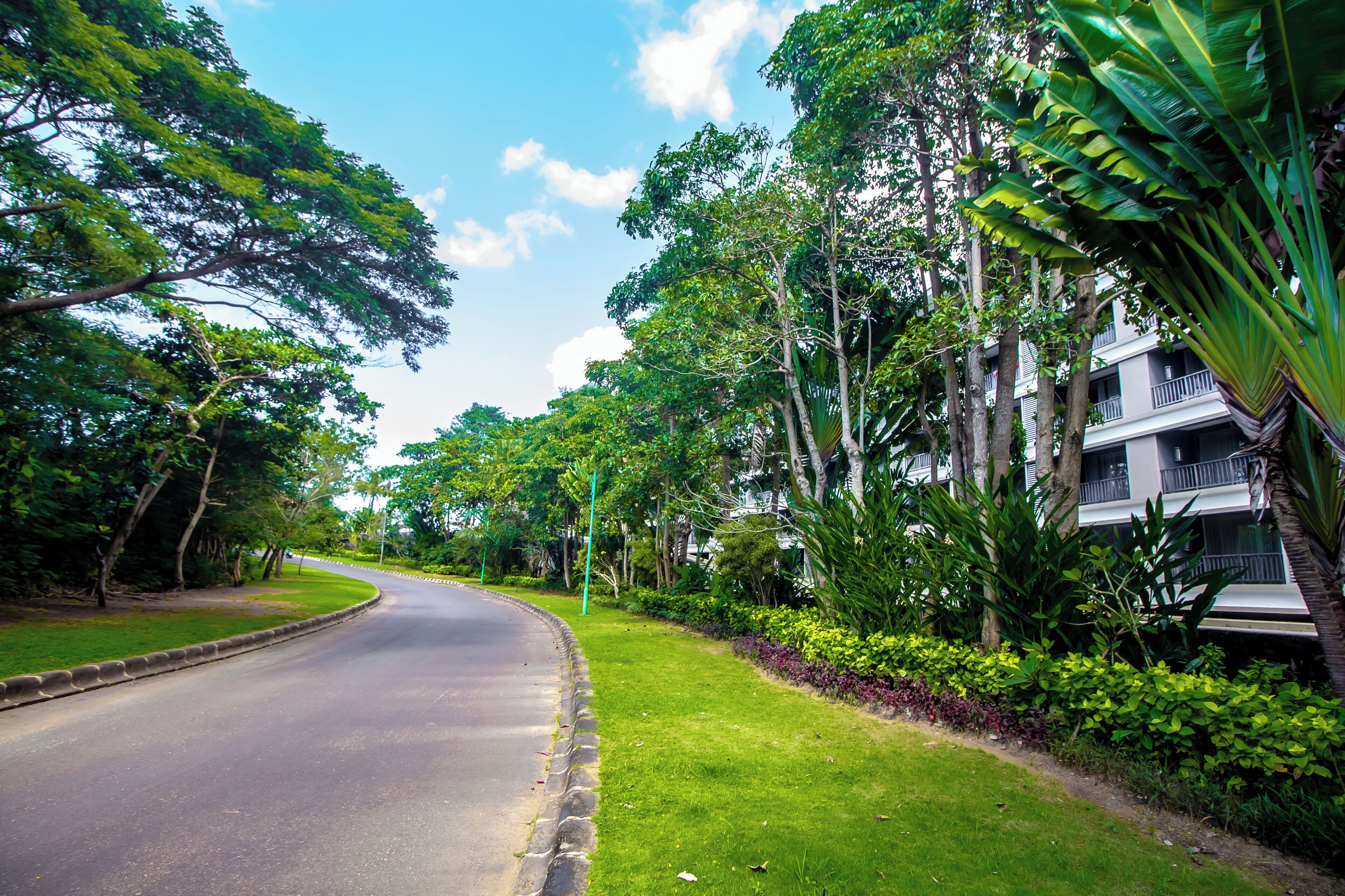 A curved road lined with lush greenery and a multi-story building with balconies.