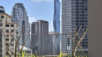 City view from property