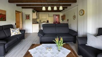 Fernseher, Stereoanlage