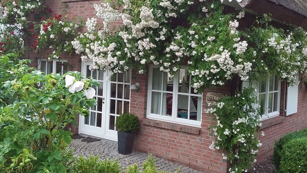 Une maison en briques avec des fenêtres à cadre blanc, un toit de chaume et des fleurs blanches grimpantes.