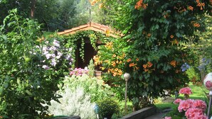 A garden with a pergola, various flowering plants, and a stone pathway. - Holiday Apartment "Gästehaus Marianne" with Mountain View, Shared Terrace and Wi-Fi (Farchant)