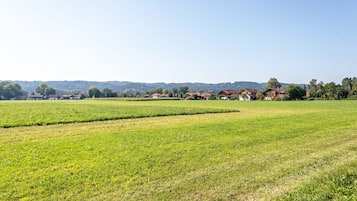 Paisaje rural con campos, casas y cielo despejado.