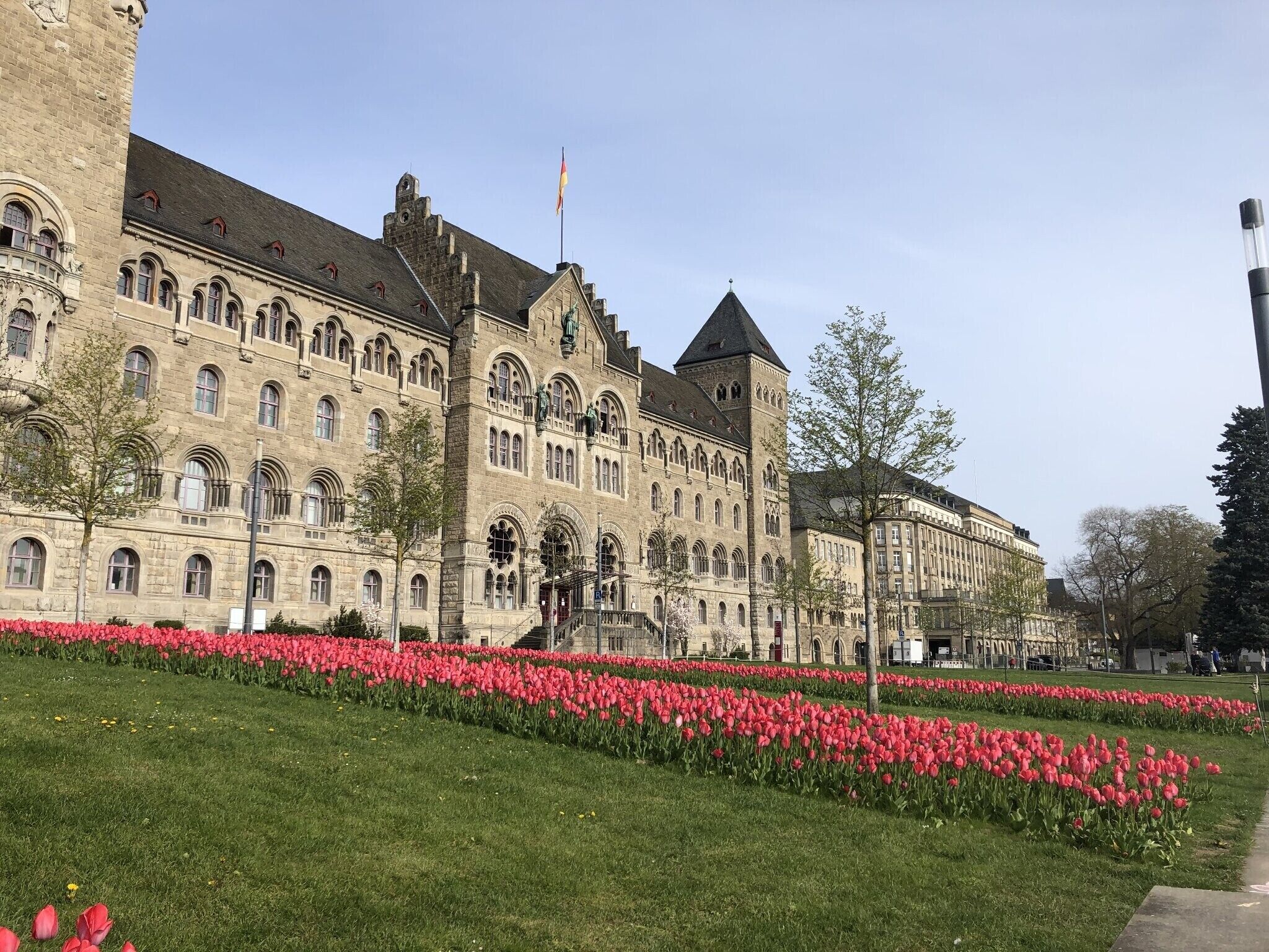 A historic building with a prominent tower and arched windows, surrounded by a well-maintained garden with rows of red tulips.