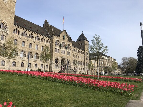 A historic building with a prominent tower and arched windows, surrounded by a well-maintained garden with rows of red tulips.