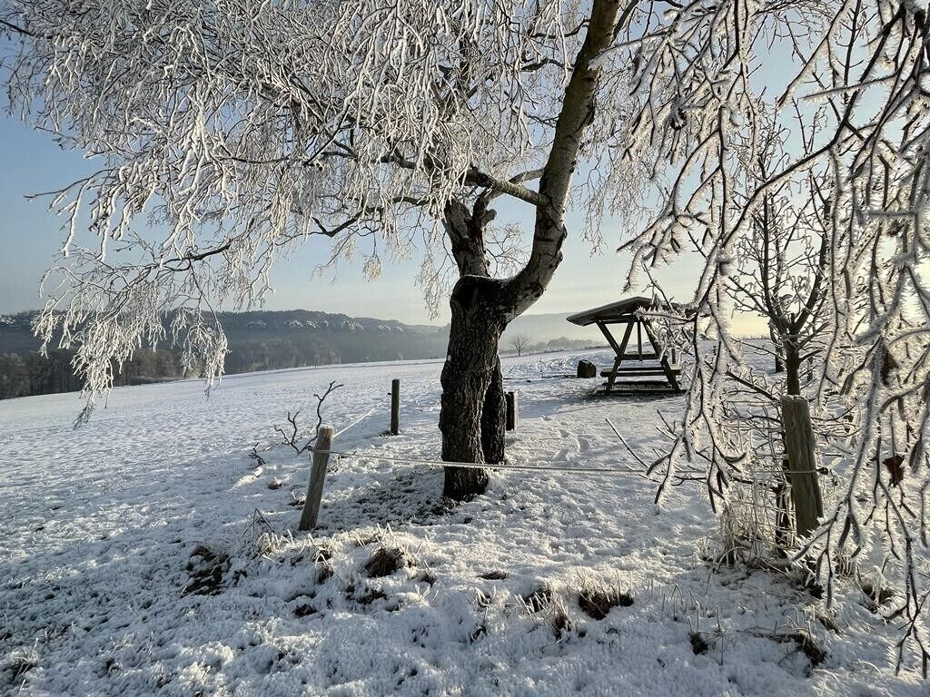 A snow-covered landscape with a wooden structure and a tree.