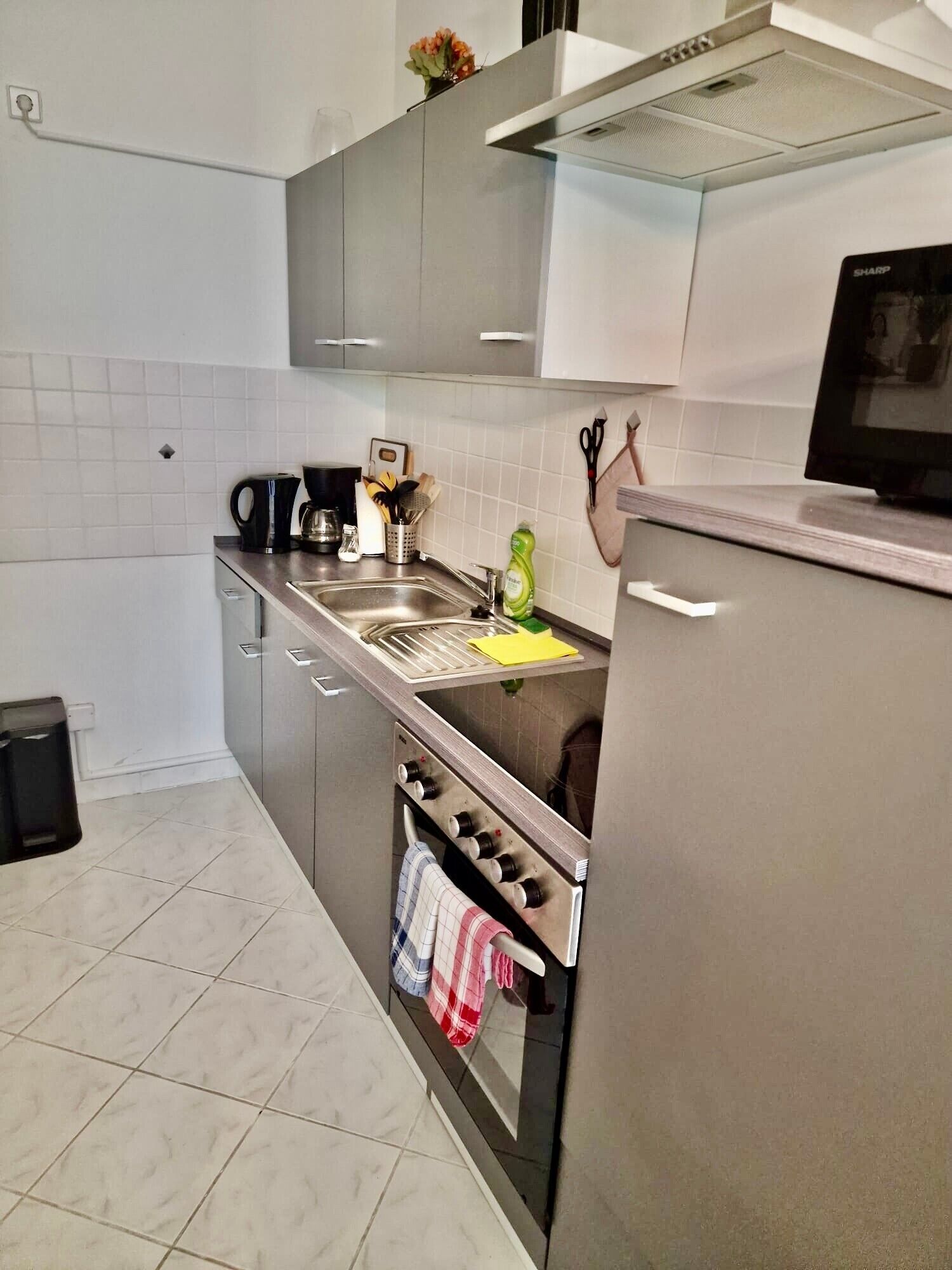 Frigorífico, microondas, horno y placa de cocina