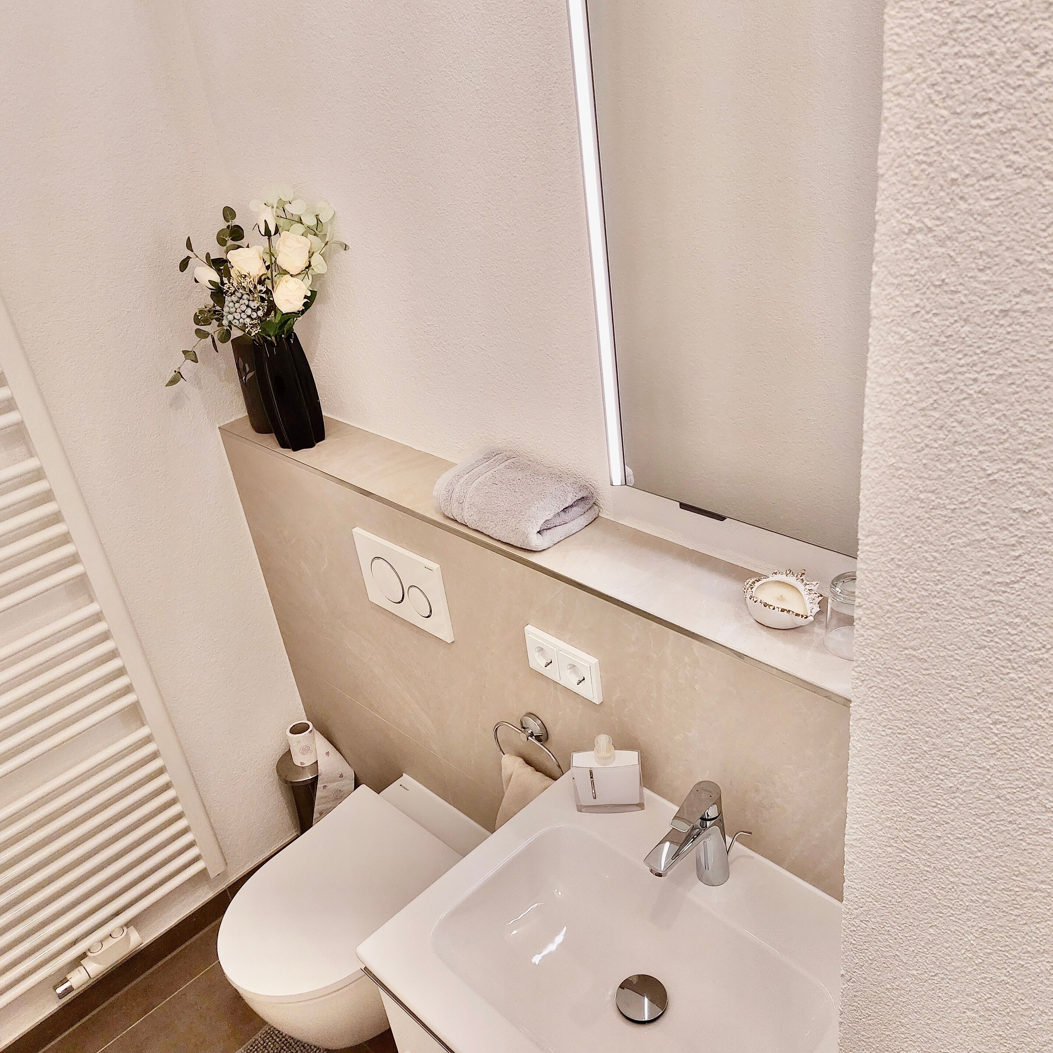 Ducha, secador de pelo y toallas