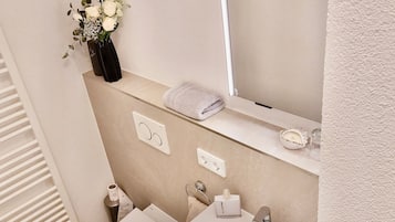 Ducha, secador de pelo y toallas