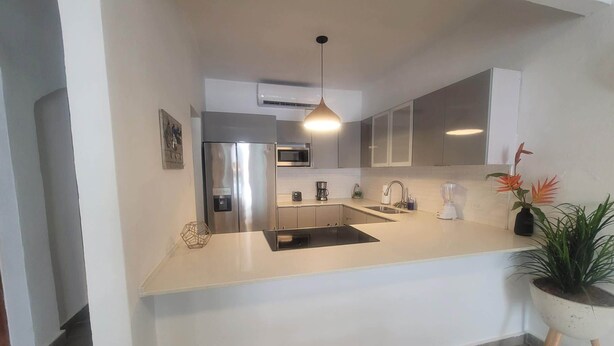 A modern kitchen with a stainless steel refrigerator, a microwave, a sink, and a countertop. There is a pendant light above the sink and a potted plant on the right side. - Spacious 3BD Beach House 2 Blocks from Ocean Park (San Juan)