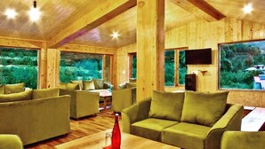Un interior de madera con sofás tapizados de verde, una mesa de centro de madera y grandes ventanas con vistas a la vegetación.