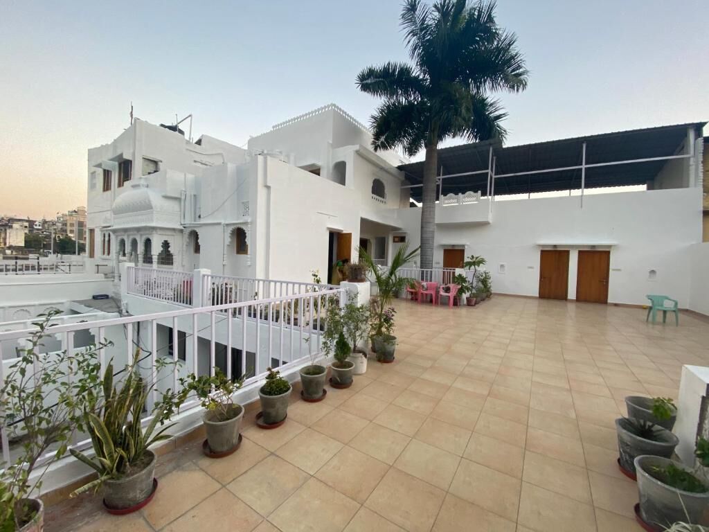 Une terrasse sur le toit agrémentée de plantes en pot, d’un palmier et d’un bâtiment blanc doté de nombreux balcons.