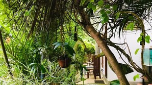 Een weelderige binnentuin met diverse planten en een vijver.