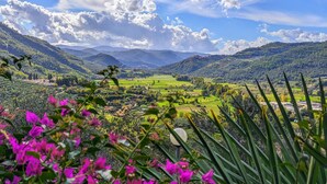 A landscape view with mountains, greenery, and a clear sky. - Perla House (Ferentillo)