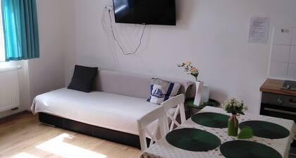 Family Apartment No 16 im Stadtzentrum am Park Teplice