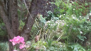 A garden with a variety of plants and a stone wall. - Spacious villa in theAude close to the sea, mountains, history and vineyards! (Montazels)