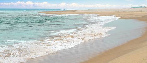 Plage privée, sable blanc, navette gratuite vers la plage