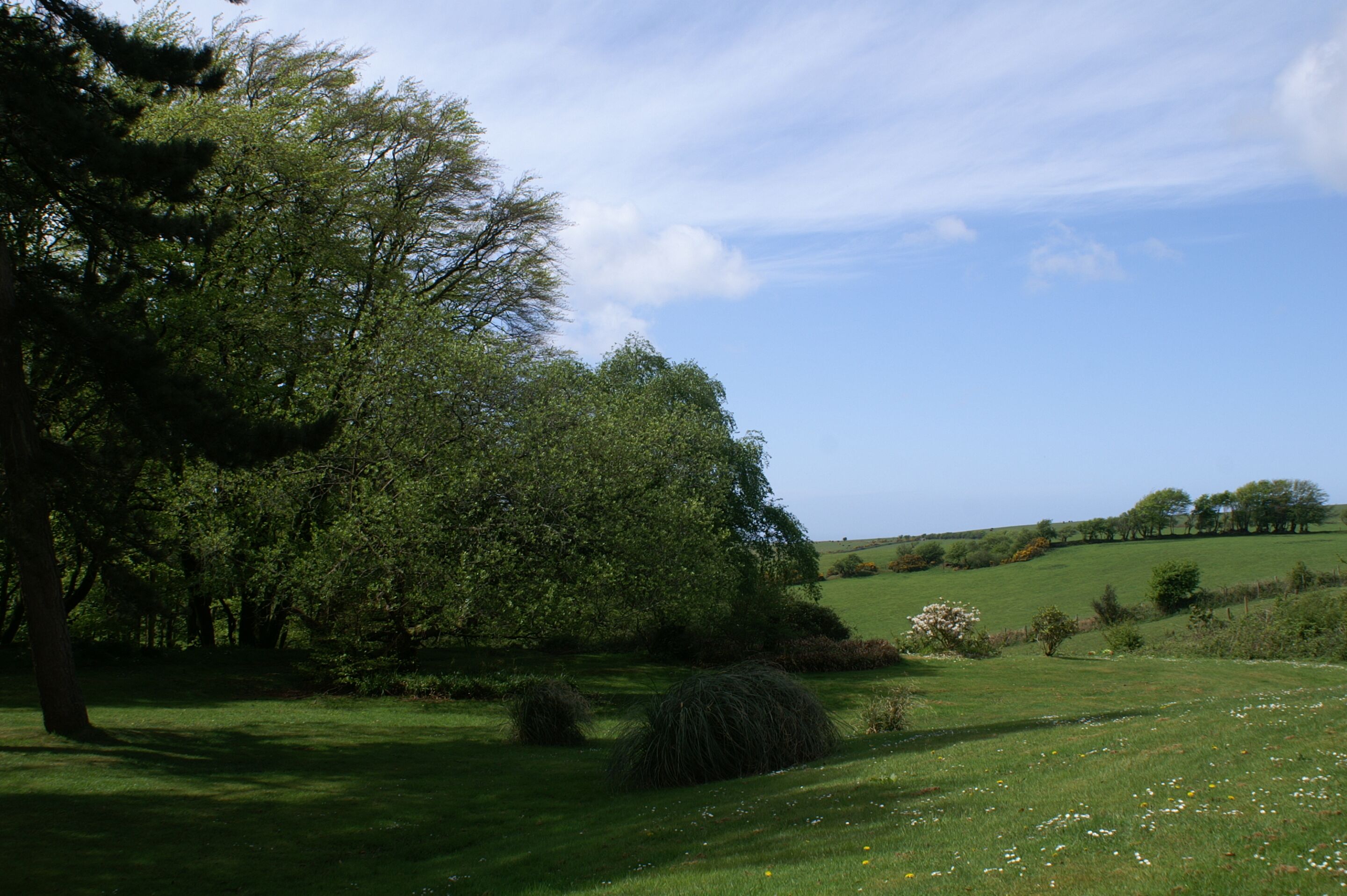 Un campo cubierto de hierba con árboles y un cielo despejado.