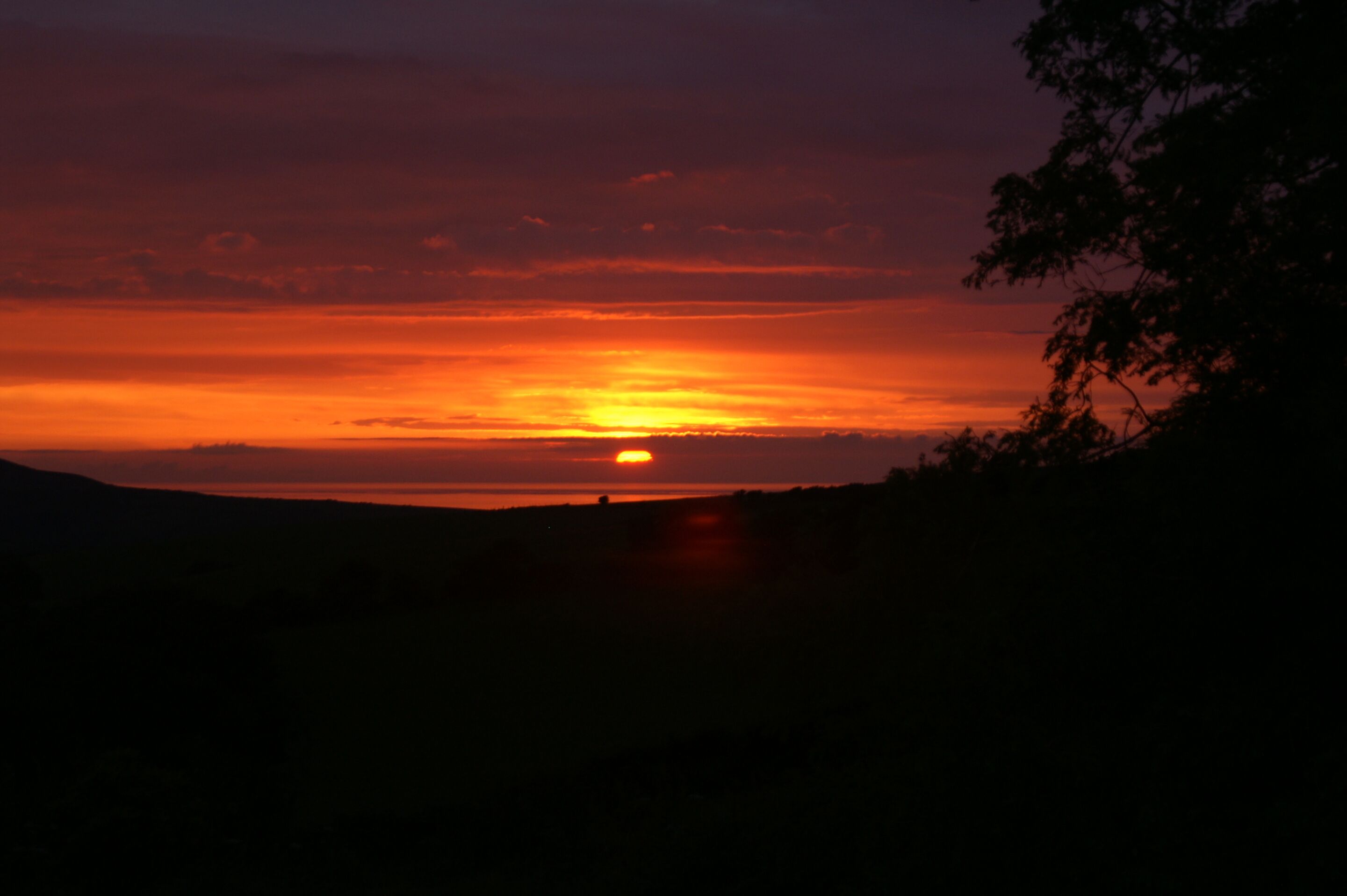 A sunset over a hilly landscape with silhouettes of trees and a distant sun.