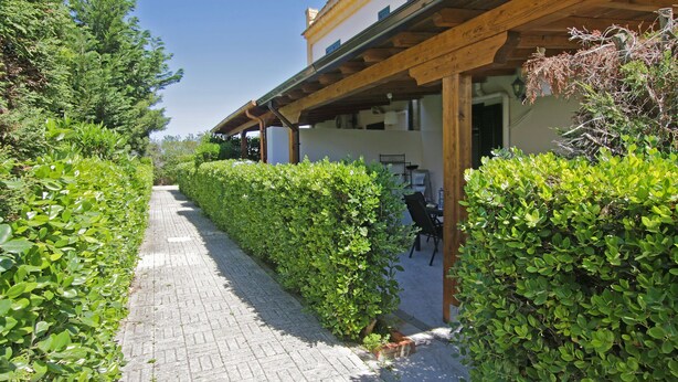 Een geplaveid pad, begrensd door strakke hagen, dat leidt naar een gebouw met een houten pergola.