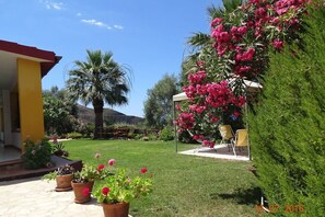 Terassi/patio