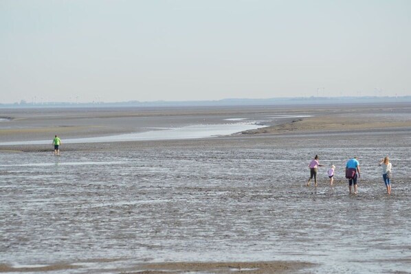 Plage à proximité