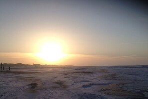 بالقرب من الشاطئ