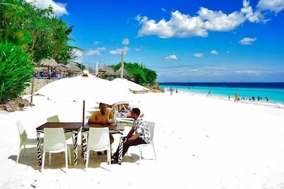 COCCOBELLO ZANZIBAR