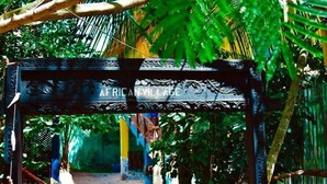 An ornate metal gate with the inscription "AFRICAN VILLAGE" in a tropical setting with lush greenery. - COCCOBELLO ZANZIBAR (Kendwa)