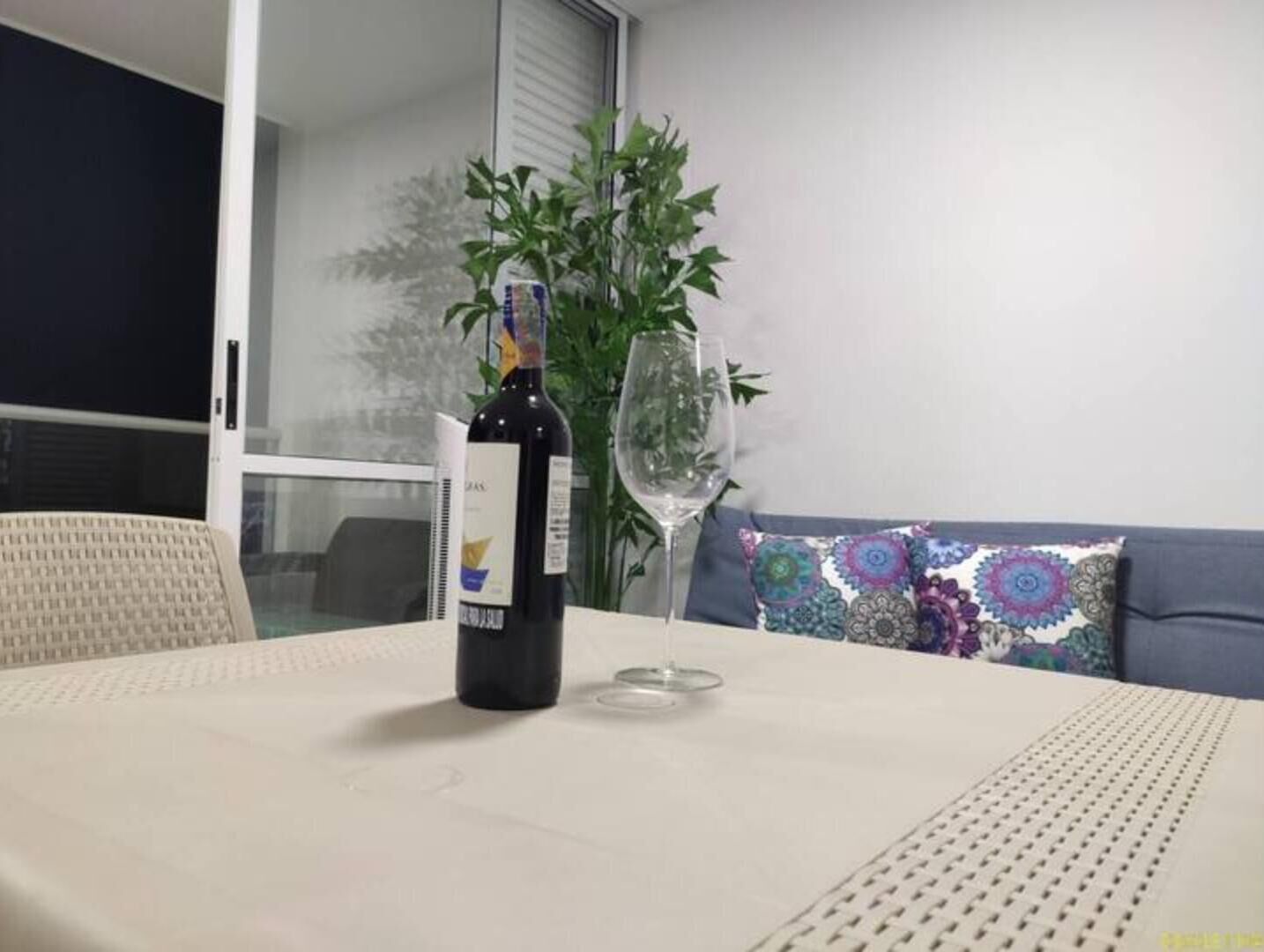 A table with a bottle of wine and a glass on it, a plant, and a patterned cushion on a sofa.