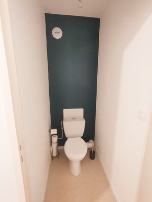 Hair dryer, towels, toilet paper