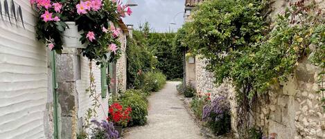 Overnattingsstedets uteområder