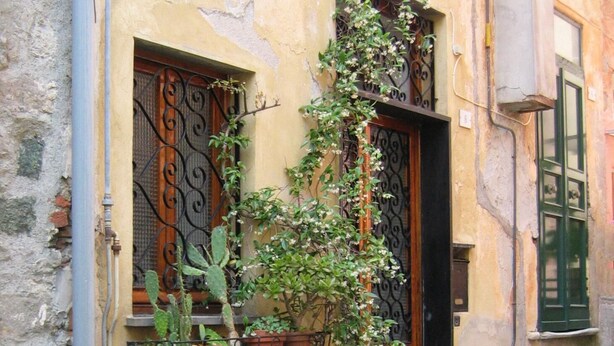 A courtyard with potted plants, a cactus, and a door with a metal gate. - Ca du Paraxo (Levanto)