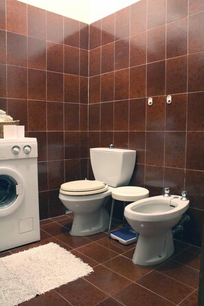 Regadera, secadora de cabello, bidet, toallas 