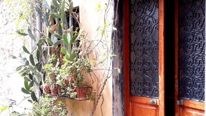 A wooden door with intricate metalwork, potted plants, and a wall with climbing plants. - Ca du Paraxo (Levanto)