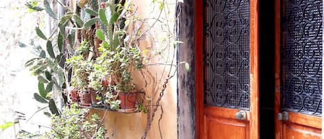 A wooden door with intricate metalwork, potted plants, and a wall with climbing plants.