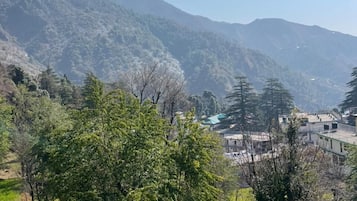 Premium Double Room | Terrace/patio