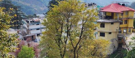 Un barrio residencial con casas, un árbol y una montaña al fondo.