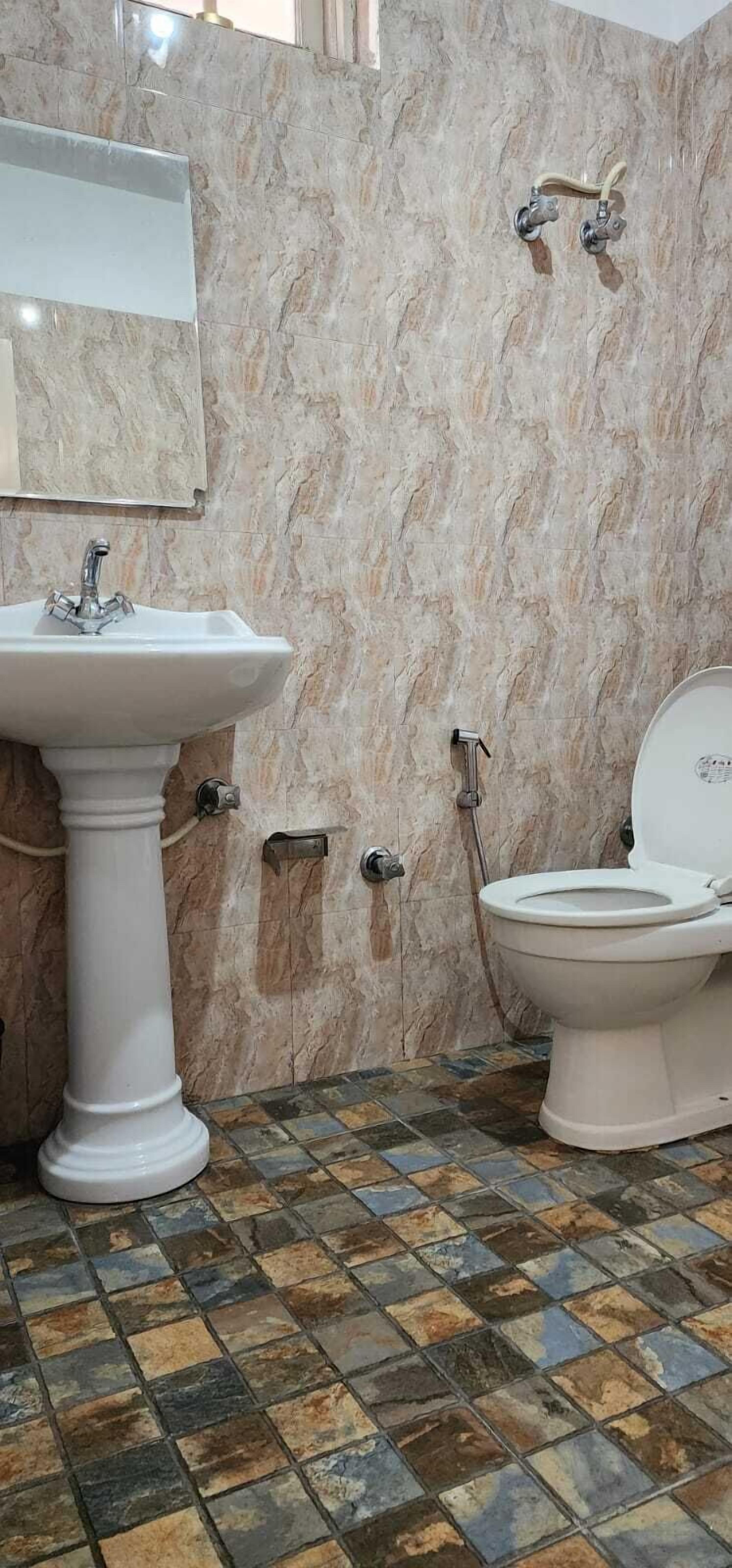 A bathroom with a marble wall, a pedestal sink, a toilet, and a shower with a handheld showerhead.